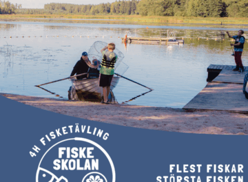 4H Fisketävlingen inspirerade unga till fiske featured image